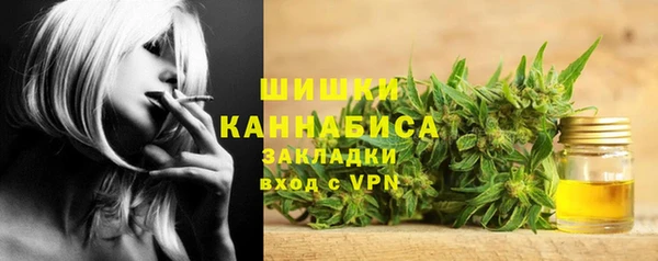 ПСИЛОЦИБИНОВЫЕ ГРИБЫ Балабаново