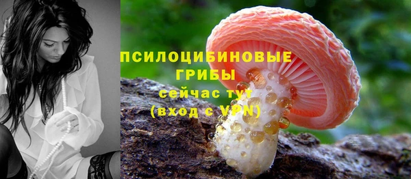 эйфоретик Балахна
